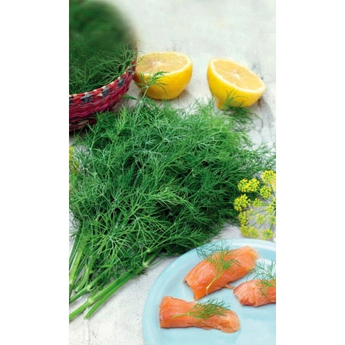 Семена Укроп Сибирский букет 2гр (УД) Е/П