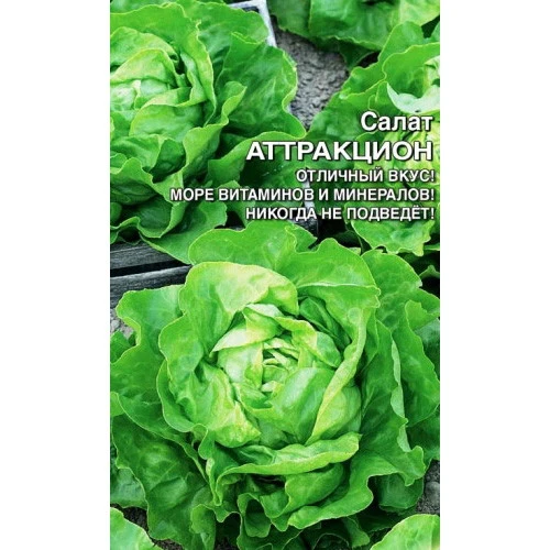 Семена Салат Аттракцион 0,25гр (УД) Е/П