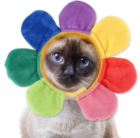 Шапка для собак и кошек Ромашка, цвет как на фото, р S_6