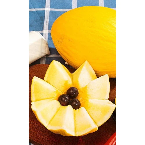 Семена Дыня Ранняя Сладкая 10шт (УД) Е/П