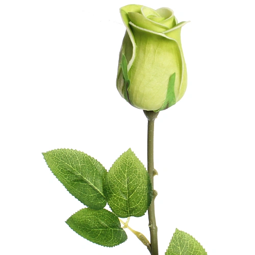 Цветок искусственный Natur 45см Роза фисташковая_4