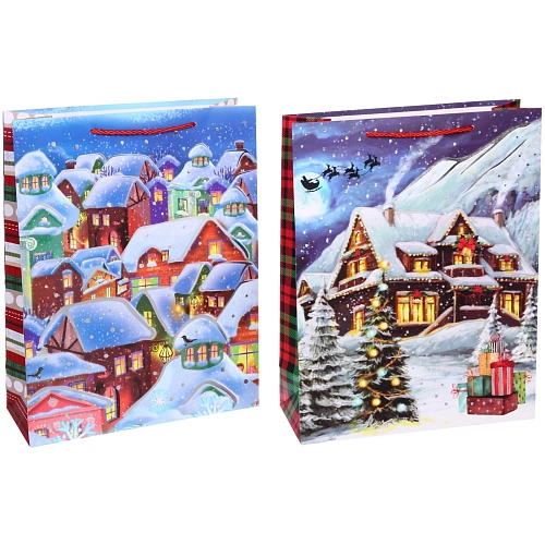 Пакет подарочный Лучшие друзья 314012 см, микс_3