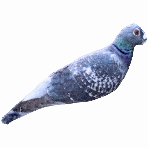 Игрушка для кошек мягкая реалистичная Голубь, 20см17гр (лейбл)_4