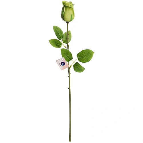 Цветок искусственный Natur 45см Роза фисташковая_3