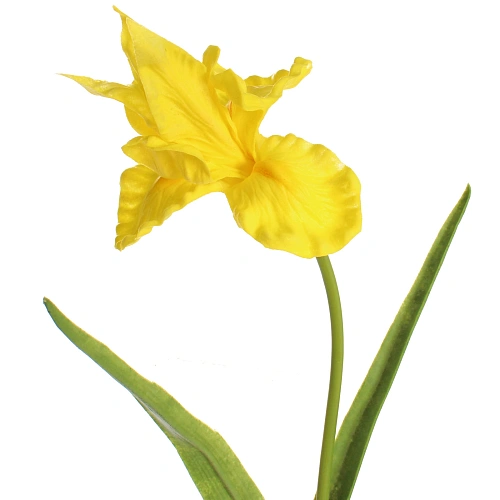 Цветок искусственный Natur 60см Ирис желтый_4